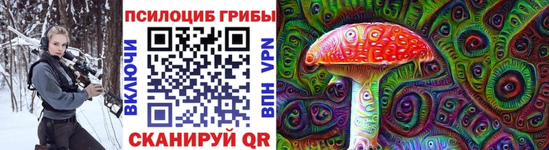 Купить закладки  Новохопёрск  Псилоцибиновые грибы Cubensis 